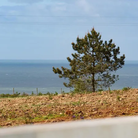 Palhais Paradiso - Perfect For Families & Friends *