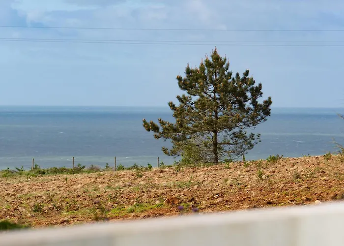 Palhais Paradiso - Perfect For Families & Friends *